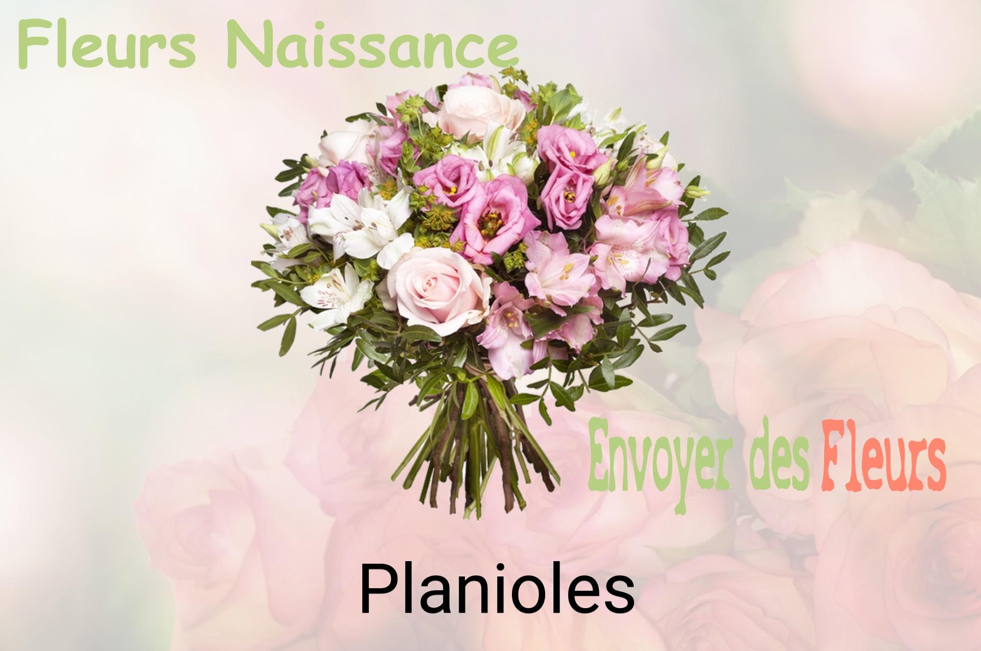 Bouquet de fleurs de naissance livré à Planioles