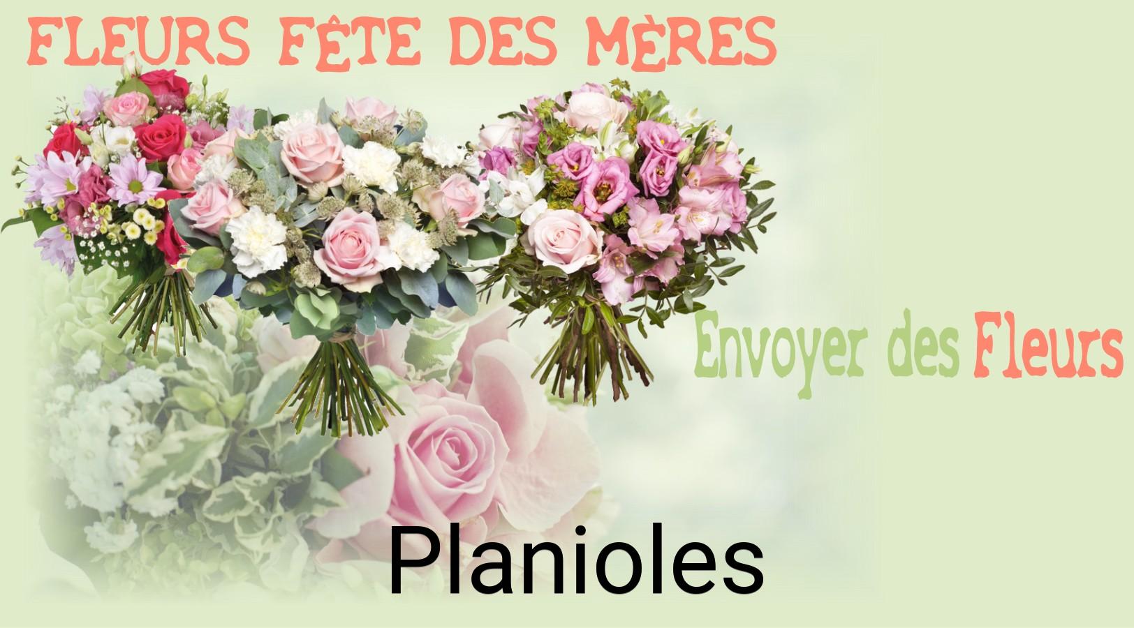 Bouquet de Fête des Mères livré à Planioles